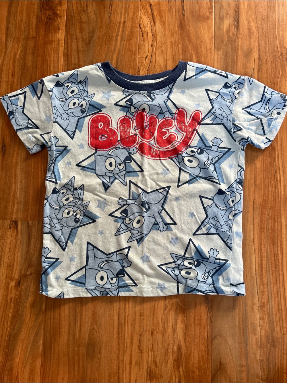 Bluey Graphic Short Sleeve Tee with Red Logo